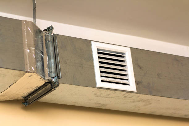 Best Air Duct Sanitizing Services  in Bradford, TN
